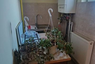 Casă cu 4 camere cu Teren 260 Mp în Smeura - 3