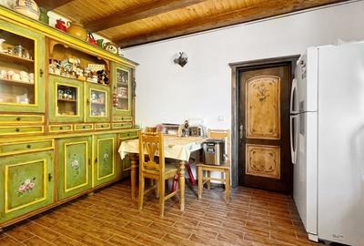 Complex de 3 case pe 18000 mp teren - 13