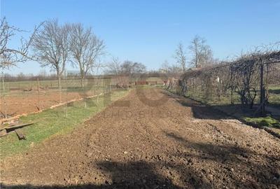 Casă cu 2 camere în Inand - 4