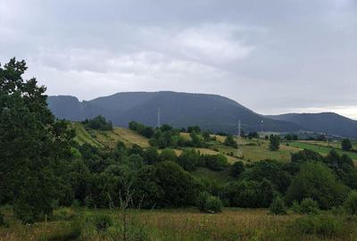 Teren de 1000 mp, în Viișoara - 8