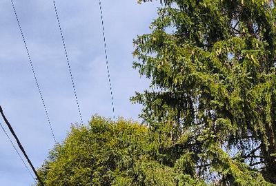 Teren intravilan Valea Doftanei Teren intravilan Valea Doftanei - 10