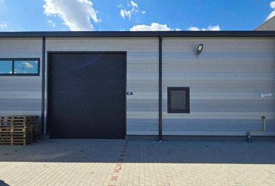 Teren cu hala noua de vanzare, parc logistic Salonta/Bihor - 17