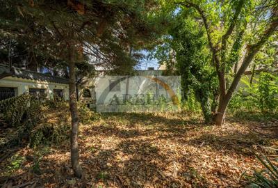 Casă individuală cu 16 camere cu Canalizare în Basarab - 31
