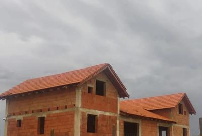 Duplex la ro?u -Herneacova -Timi? - 4