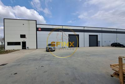 Spațiu industrial, de 760 mp, în Mogoșoaia - 1