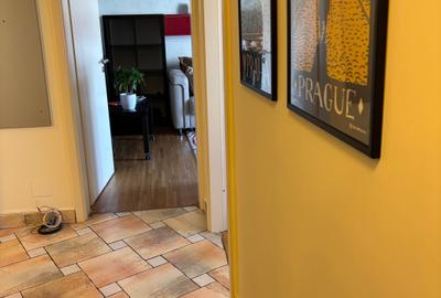 3camere Teiul Doamnei - Soseaua Colentina , - 9