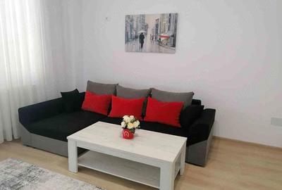 Apartament cu 2 camere decomandat în Roșu - 6