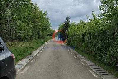 Parcele Teren Lacul Surduc Fardea - 4