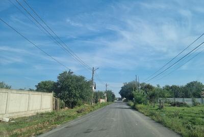 Vanzare Teren  construibil Cernica Balaceanca 4000mp Vanzare Teren  construibil Cernica Balaceanca 4000mp - 1