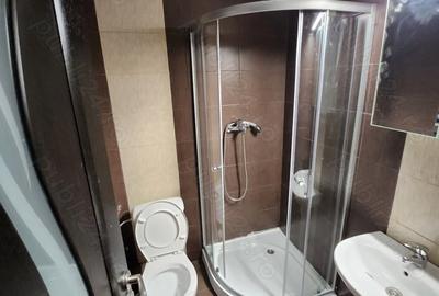 Garsonieră în Pantelimon - 2