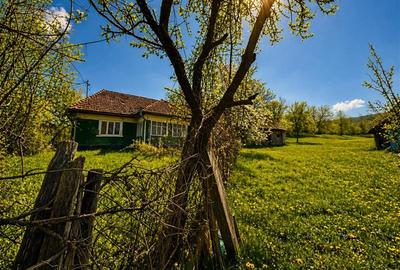 Casă individuală cu 2 camere cu Teren 3400 Mp în Suveica - 5