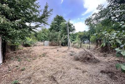 CASUTA DE VANZARE - TEREN 1000 MP - CONTESTI - 11