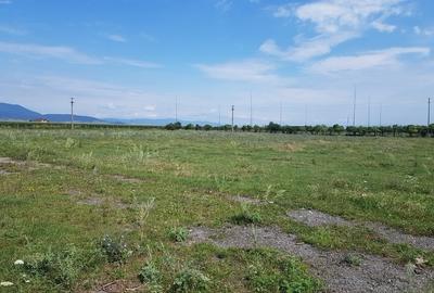 Teren agricol intravilan, Cristian ! - 4