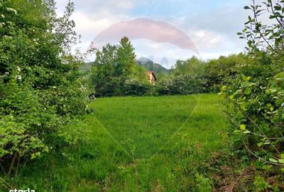 Teren de 4223 mp, în Bran - 11