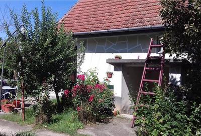 Casă cu 3 camere în Dobra - 4