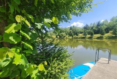 Refugiu idilic cu oglinda de apa,panorama montana,Glajerie/Rasnov,ideal mini res - 17
