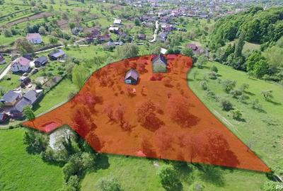 Casă cu Teren 8000 Mp în Trestia - 8