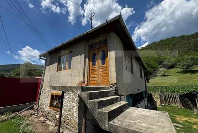 Casă cu 3 camere cu Teren 6000 Mp în Ampoița