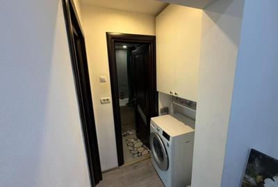 Apartament cu 3 camere, mobilat în Rahova - 10