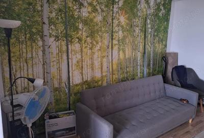 Garsonieră semidecomandată în Noua - 5