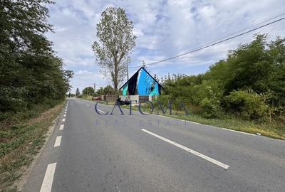 Teren 1.666 mp, construibil, cu acces direct din DN1 - langa padurea Snagov - 3