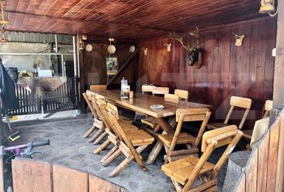 Casa tip pensiune, langa parcul Tineretului, 534mp utili, 2000 mp teren - 7