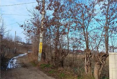 Teren de 3893 mp, în Proselnici - 1