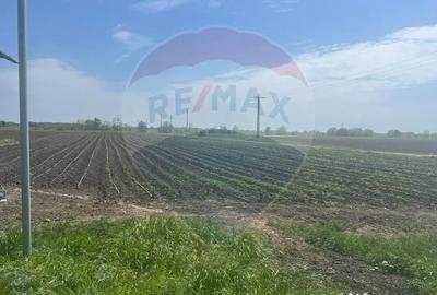 Teren de 6300 mp, în Jorăști - 4