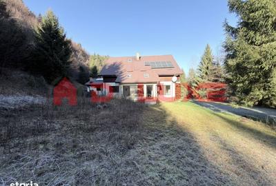 Casă cu 8 camere cu Teren 3905 Mp în Ilva Mică - 6