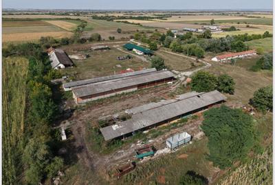 Spațiu industrial, de 1,000 mp, în Periferie - 8