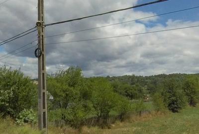 Teren de 5000 mp, în Central - 4