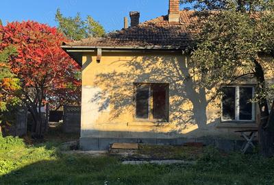 Casă cu 2 camere cu Teren 250 Mp în Central - 10