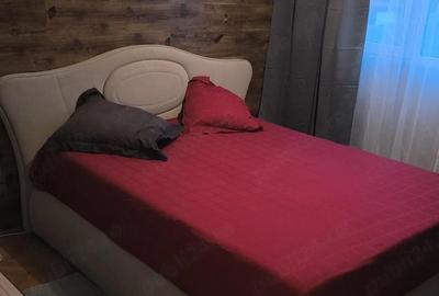 Apartament cu 2 camere semidecomandat, mobilat în Grivița - 7