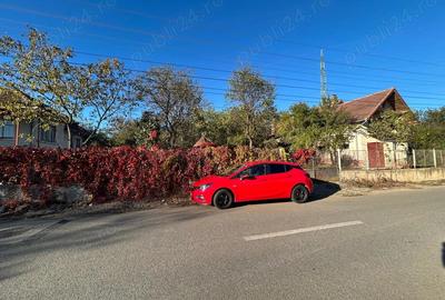 Casă cu 3 camere în Peștișu Mare - 9