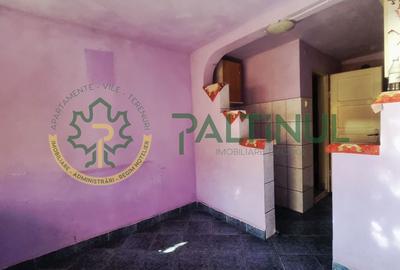 Casă cu teren generos 802 mp - Cartier Turnișor, Sibiu - 11
