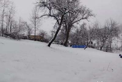 Casă cu 3 camere în Urseiu - 11