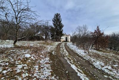 Casă individuală cu 5 camere cu Teren 5950 Mp în Central - 5