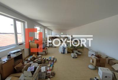 Spatii de inchiriat pentru birouri sau depozitare zona Iosefin - ID C5330 - 6