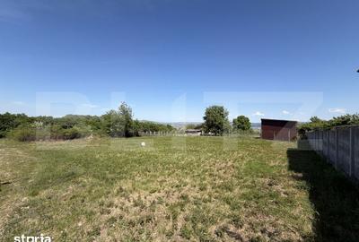 Teren de 1020 mp, în Cetate - 3