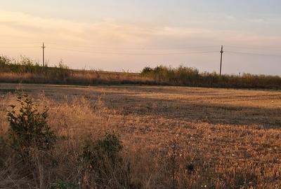 Branistari, Comuna Calugareni judetul Giurgiu - 3