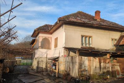 Casă cu Teren 5000 Mp în Roșia de Amaradia - 9