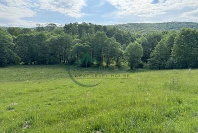 Teren extravilan - oportunitate investitie - 2