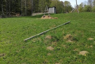 Teren agricol extravilan de 22000 mp, în Valea Doftanei - 7