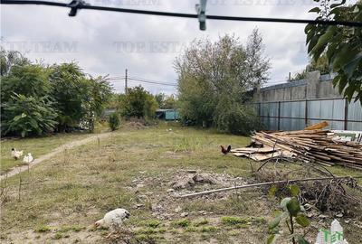 Teren intravilan 1135 mp superb, 785mp utili si 350 mp drum acces, GIULESTI, str - 5