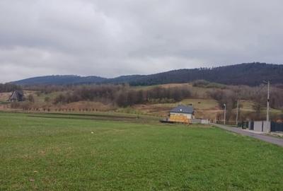 Teren Construcții intravilan de 3000 mp, în Bivolăria - 3