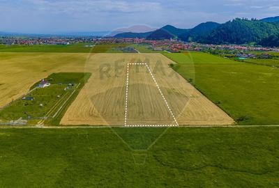 Teren agricol extravilan de 12300 mp, în Glăjărie - 3