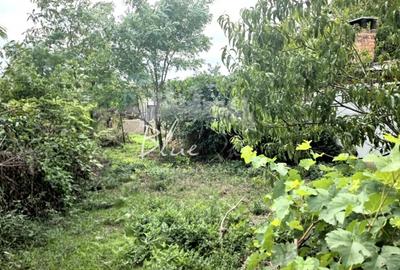 Teren cu casa demolabila sau renovabila in Valu lui Traian, pe Calea Dobrogei Teren cu casa demolabila sau renovabila in Valu lui Traian, pe Calea Dobrogei - 4