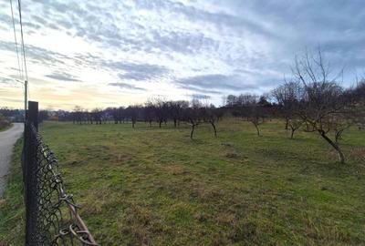 Valenii de Munte | 9123 mp | deschidere 45 - 7