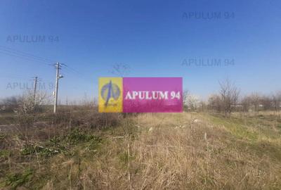 Teren Construcții intravilan de 4800 mp, în Glina - 11