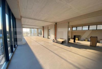 Spatiu de birouri, 200 mp, zona Torontalului- 10/mp - 6